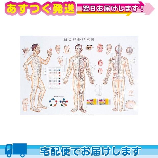 2026年1月】鍼灸経絡経穴図のおすすめ人気ランキング - Yahoo!ショッピング