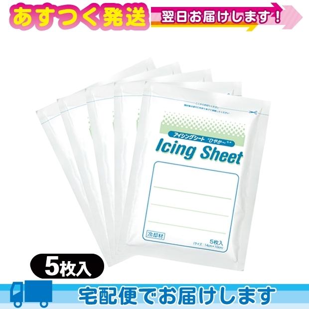 豊富な品揃えに自信あり 一歩冷却材 大石膏盛堂 アイシングシートs 14x10cm 5枚入り X5袋 合計25枚 レビューで選べるプレゼント付 低価格化