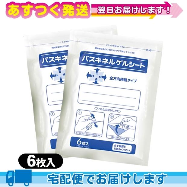 豊富な品揃えに自信あり 一歩貼付型冷却材 大石膏盛堂 パスキネルゲルシート 10x14cm 6枚入り X2袋 Cp3 超人気高品質