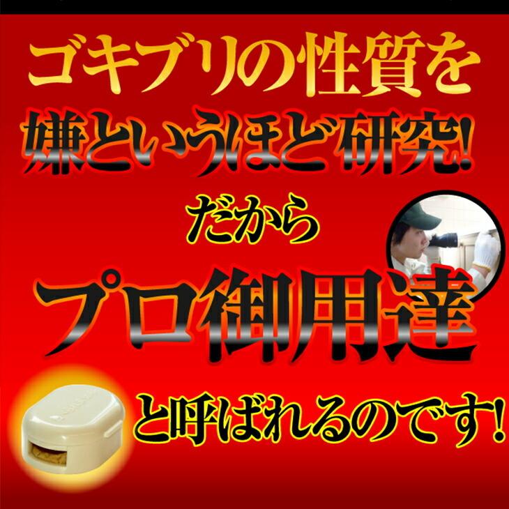 ゴキブリ駆除薬 ゴキちゃんグッバイプラス 6個入り 4個セット 駆除剤 ゴキブリグッバイ ミュー 忌避剤 業務用