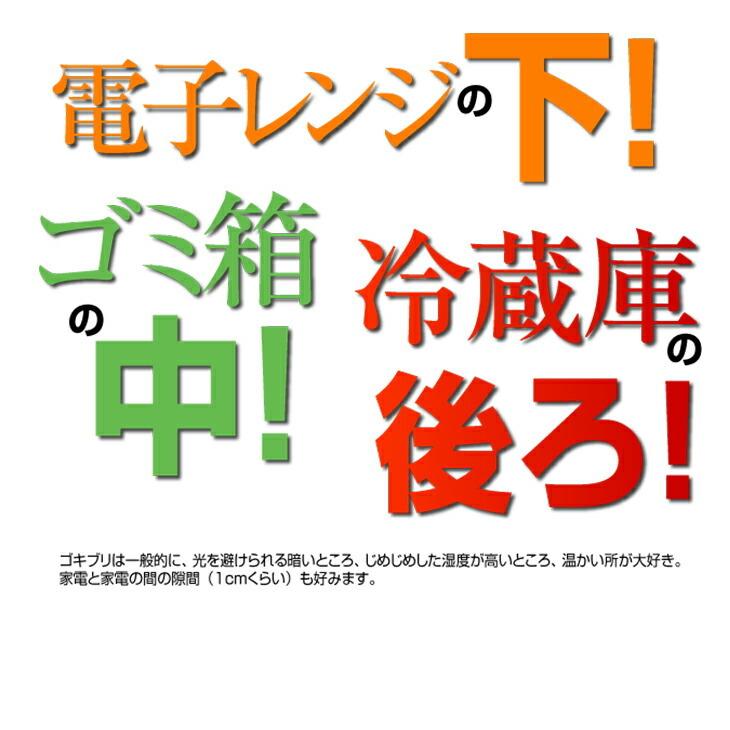 ゴキブリ駆除薬 ゴキちゃんグッバイプラス 6個入り 4個セット 駆除剤 ゴキブリグッバイ ミュー 忌避剤 業務用