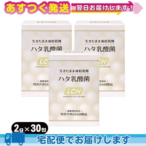 B品セール LCH ハタ乳酸菌 2g x30包入 x3個セット 計90包 乳酸菌
