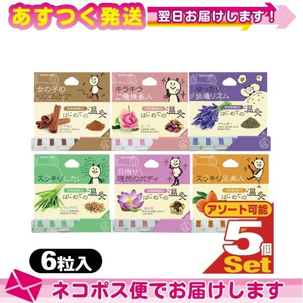 誕生日 お祝い はじめての温灸 6壮 お試し X 5個 計30壮 お灸 温灸 おためし 熊猫温休院シリーズ 和漢植物配合 30点 ネコポス発送 当日出荷 Whitesforracialequity Org