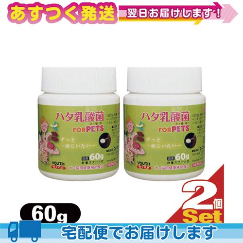 生菌数1.5倍UP※ ペット用食品 LCH ハタ乳酸菌 for PET 60g x 2個セット