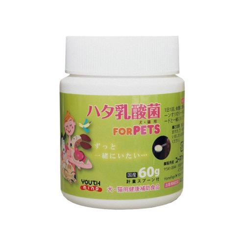 生菌数1.5倍UP※ ペット用食品 LCH ハタ乳酸菌 for PET 60g x 2個セット
