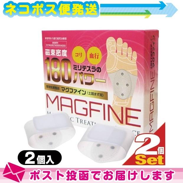 格安 永久磁石磁気治療器 イブキ マグファイン Magfine 土踏まず用 1箱2個入 両足分 X2箱セット 計4個 ネコポス発送 当日出荷 独創的 Esiba Tg