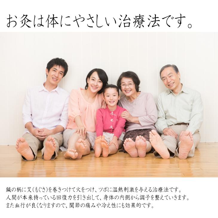 業務用 灸頭鍼用 もぐさ お灸 艾 any キネフィット 灸頭鍼用もぐさ
