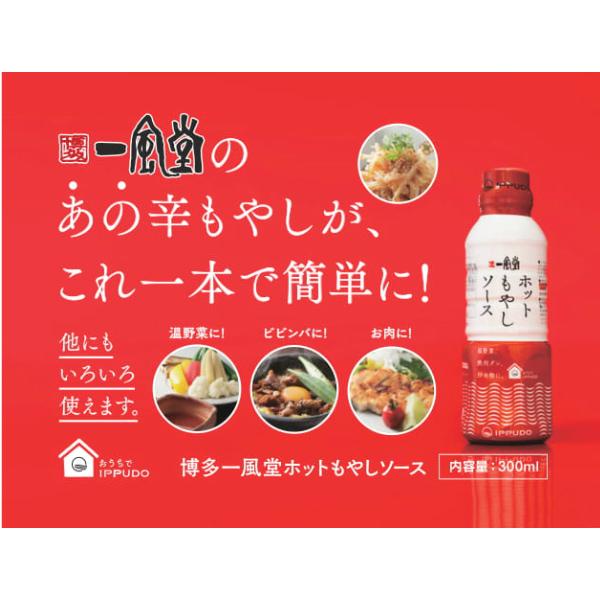 ホットもやしソース 秘伝のとんこつダシ 一風堂 選べるソース2種 24本 5%割引 万能 調味料 博多 まとめ買い 業務用 ケース販売 おうちでIPPUDO 爆買 | 一風堂 | 12