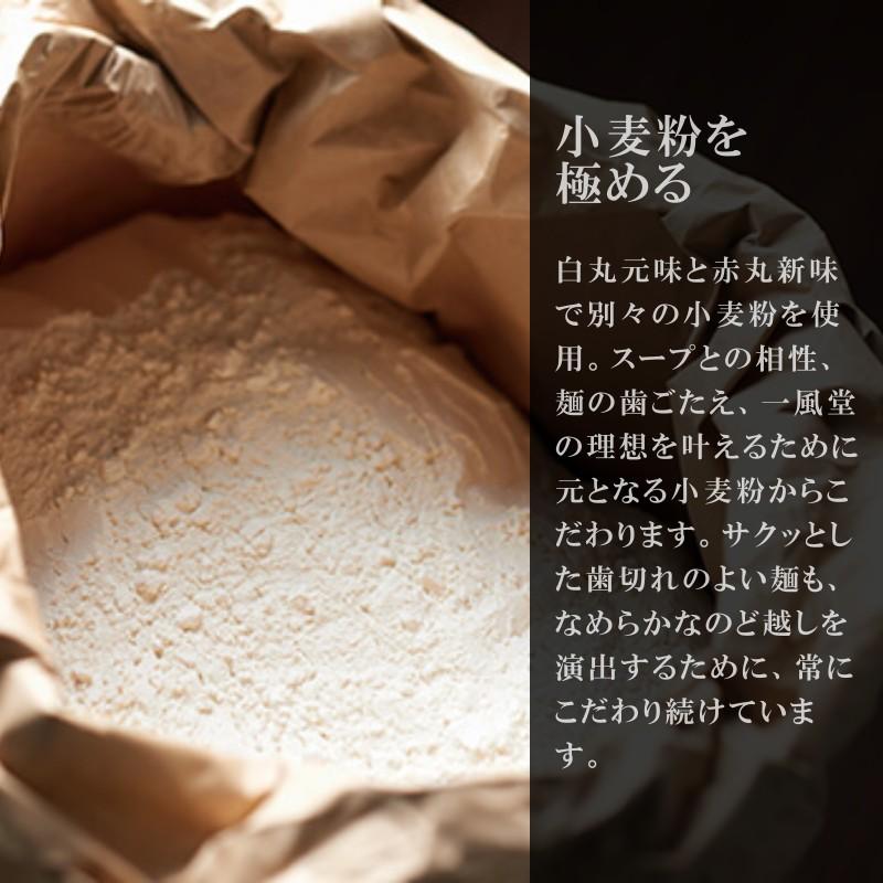 人気 博多 とんこつ ラーメン 一風堂 替玉2食タイプ×5箱 豚骨 らーめん 極細麺 博多麺 常温 生麺 なま麺 おうちでIPPUDO 爆買 | 一風堂 | 04