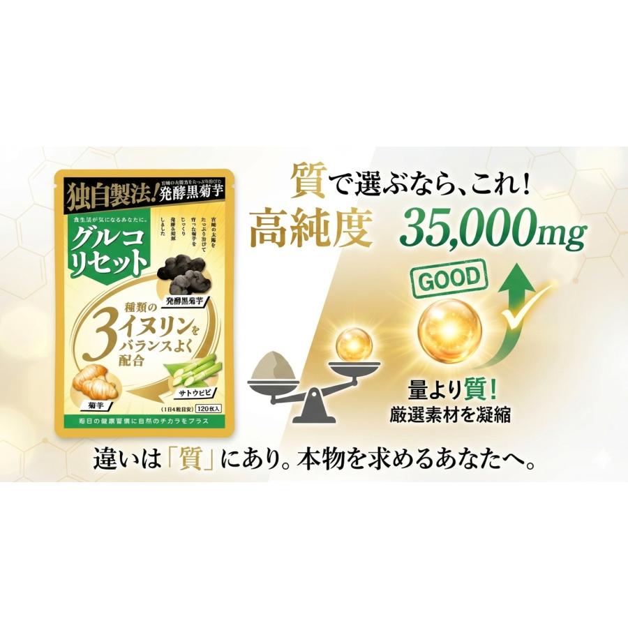 国内製造正規品】グルコリセット 2袋セット 発酵黒菊芋 イヌリン 高