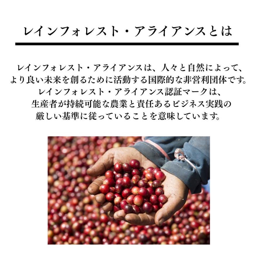 キーコーヒー ドリップオン 300袋 H&R （レインフォレスト・アライアンス認証コーヒー） | KEY COFFEE | 04