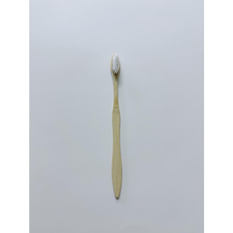 竹ハブラシセット バガスシリーズ （歯磨き粉別売）600本入 |  | 02