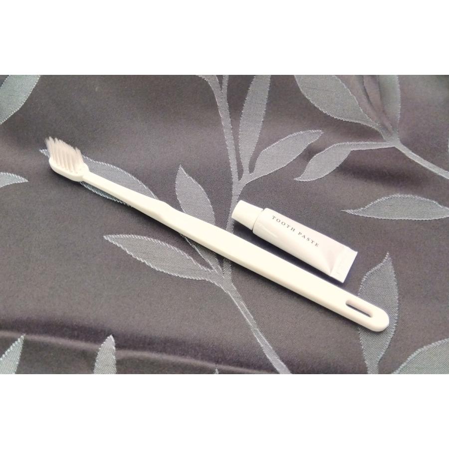 ハブラシセット プラスターシリーズ 24穴 3ｇ 1200本入 |  | 01