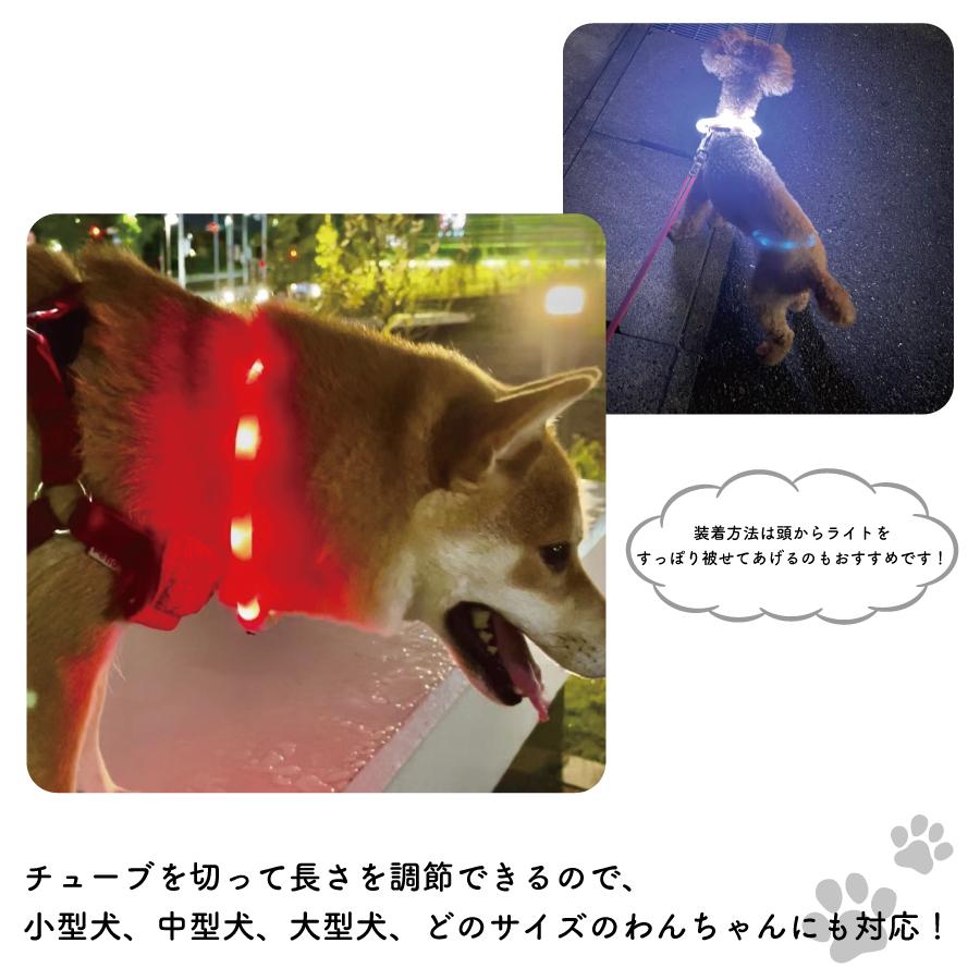 お散歩ライト 首輪ライト 犬 光る 首輪 S M 小型犬 中型犬 大型犬 USB充電 ライト わんちゃん用 ペット｜iq-labo｜03