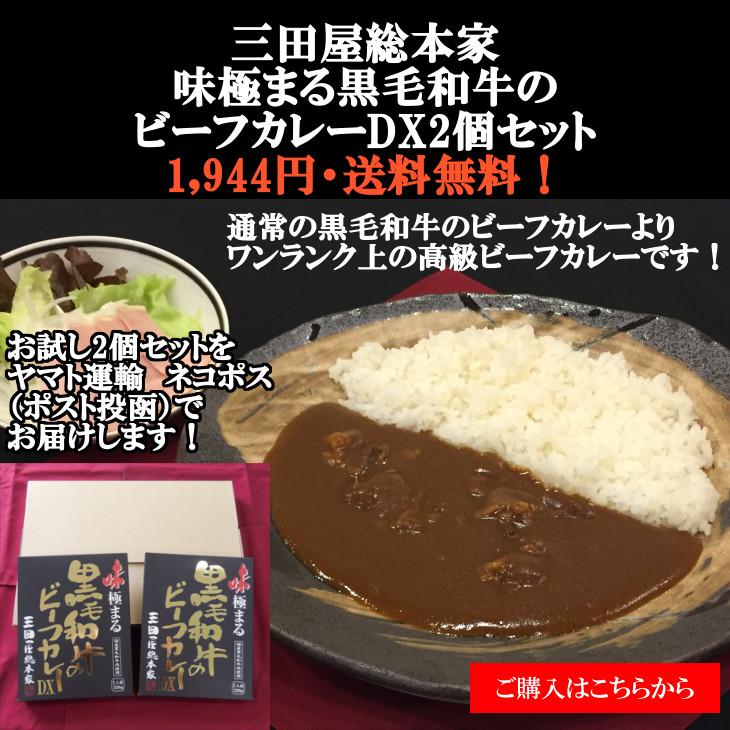 送料無料/レトルトカレー/三田屋総本家味極まる黒毛和牛のビーフカレーDX2個セット（ネコポス）