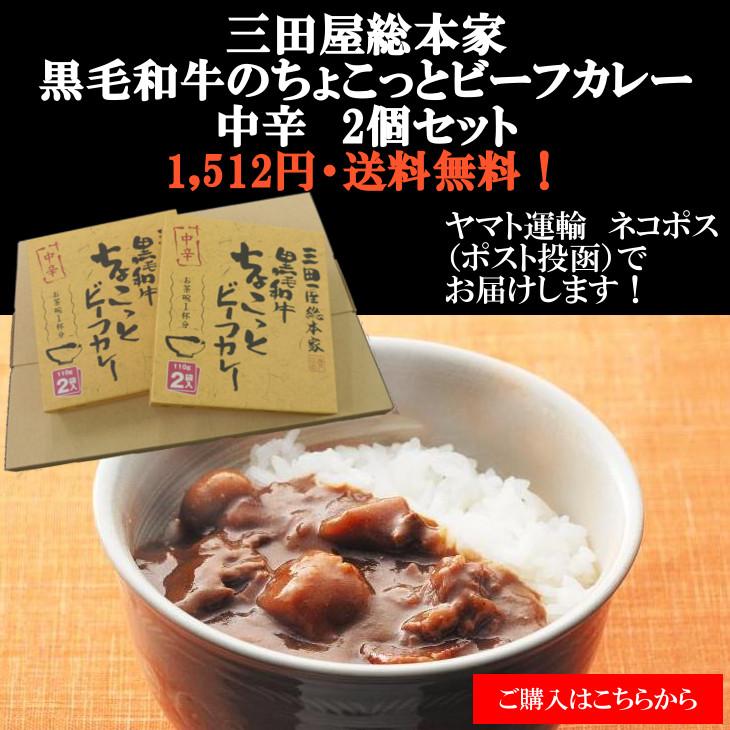 送料無料/レトルトカレー/三田屋総本家黒毛和牛ちょこっとビーフカレー中辛　110g2袋入ｘ2個セット（ネコポス）｜iqfarms｜03