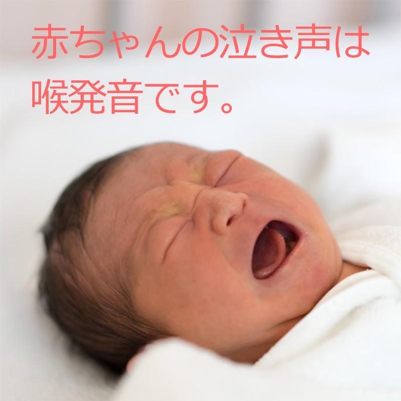 安心の定価販売 発達障害や自閉症の子供が英語の歌とアニメで 見て学び 発声や聴き取りをトレーニングできるdvd教材の リズムえいご7巻 数量限定 特売 Kuljic Com