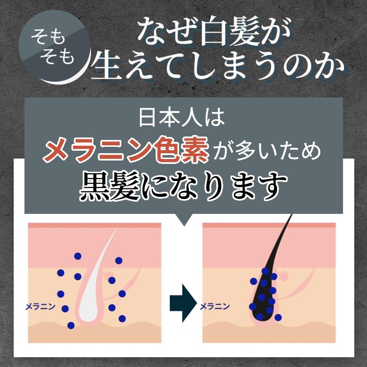 大特価セール今だけ20％OFF イクモアクロカミシャンプー｜送料