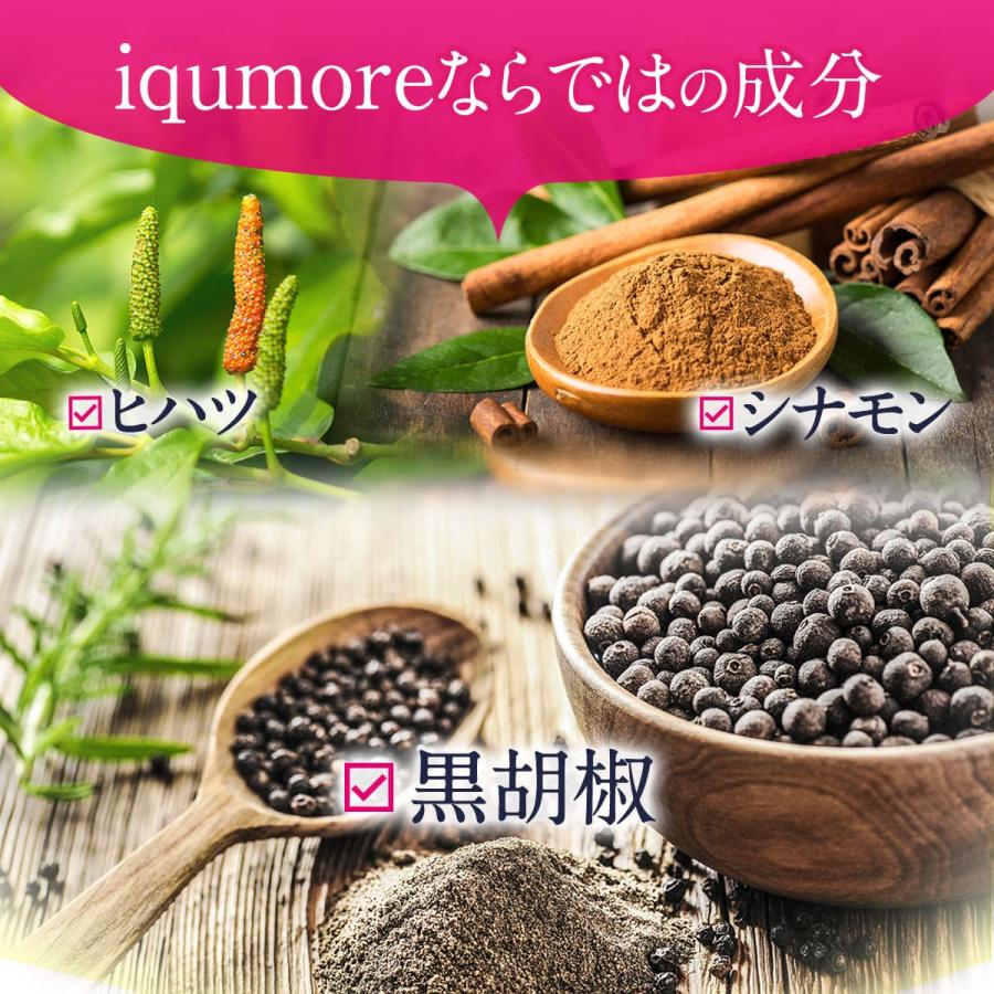 イクモア サプリメント 90粒×6袋セット 約180日分 ｜送料無料・女性用