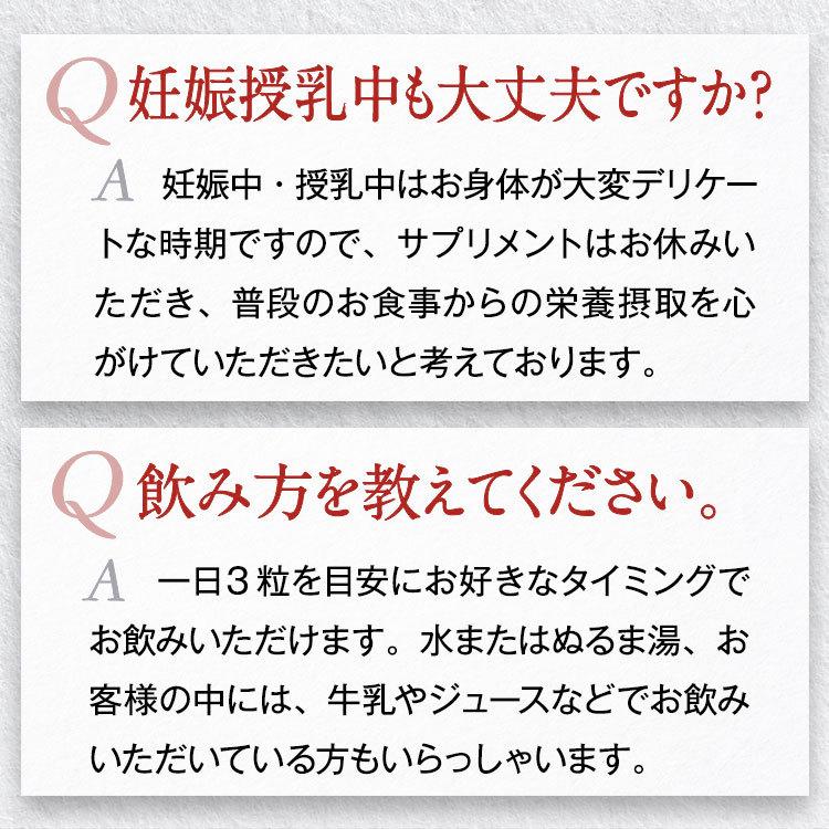 イクモア プレミアム サプリメント 90粒×2袋セット 約60日分 ｜送料