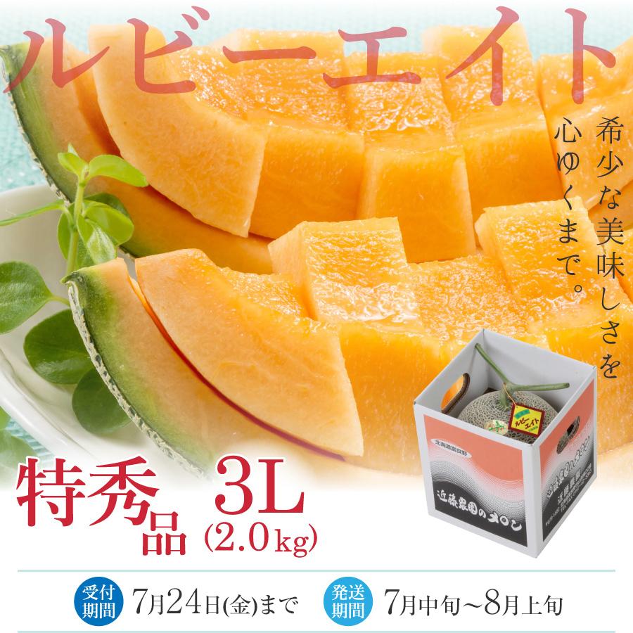 お中元 メロン 北海道 富良野メロン 幻の品種 キングルビー 特秀品