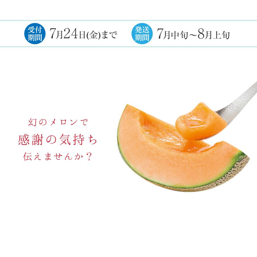 お中元 メロン 北海道 富良野メロン 幻の品種 キングルビー 特秀品