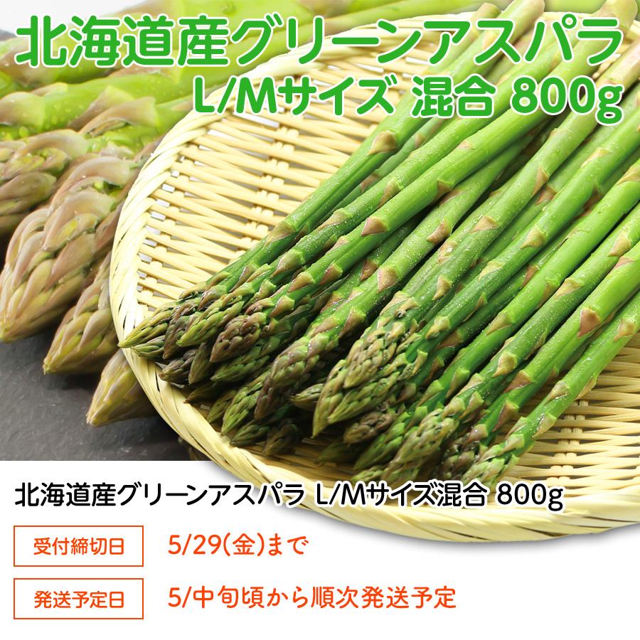 北海道 グリーンアスパラガス L/Mサイズ混合 800g (アスパラガス本数の