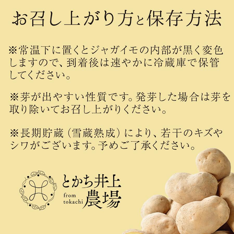 じゃがいも 北海道産 メークイーン 越冬じゃがいも 約3kg 雪室熟成 二