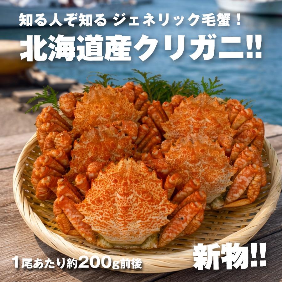 カネサン佐藤水産 お中元 クリガニ 栗蟹 北海道産 姿 ボイル 冷凍 殻