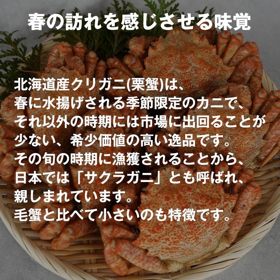 カネサン佐藤水産 お中元 クリガニ 栗蟹 北海道産 姿 ボイル 冷凍 殻
