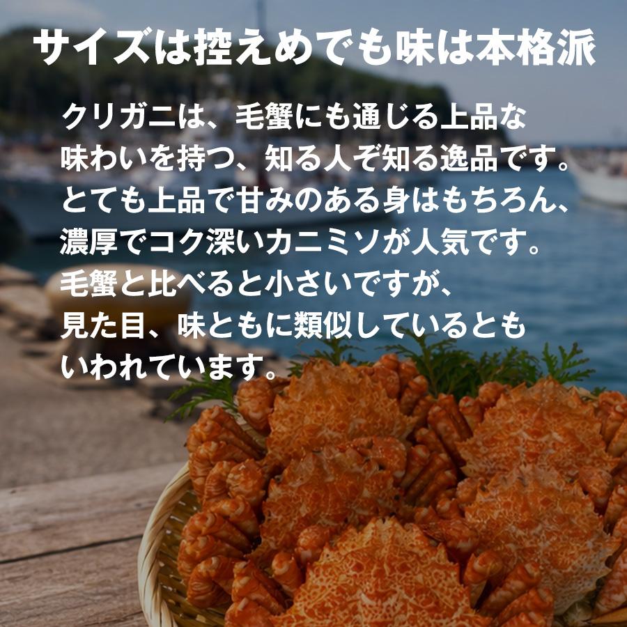 カネサン佐藤水産 お中元 クリガニ 栗蟹 北海道産 姿 ボイル 冷凍 殻