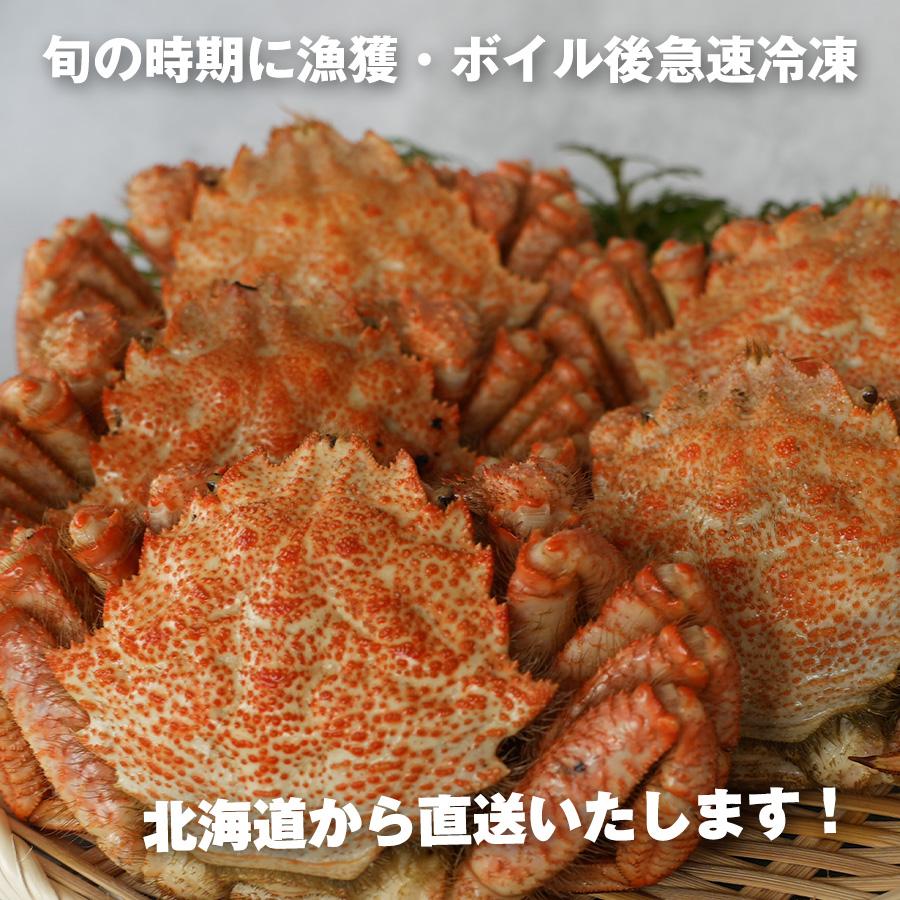 カネサン佐藤水産 お中元 クリガニ 栗蟹 北海道産 姿 ボイル 冷凍 殻