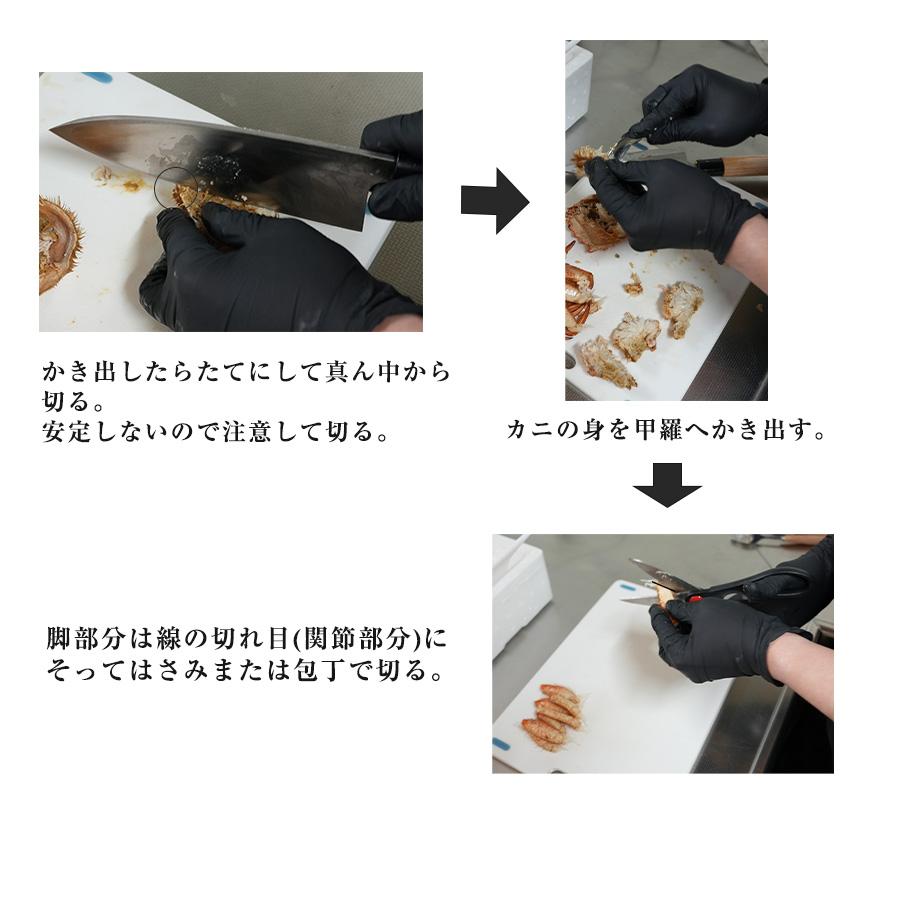 カネサン佐藤水産 お中元 クリガニ 栗蟹 北海道産 姿 ボイル 冷凍 殻