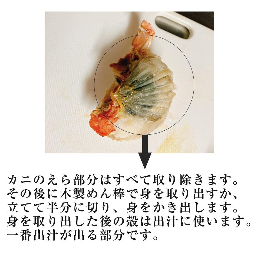 カネサン佐藤水産 オオズワイガニ 北海道産 ズワイガニ ボイル 姿 冷凍