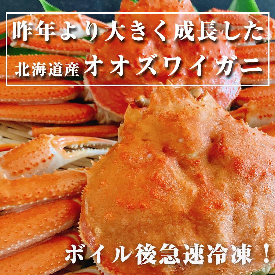オオズワイガニ 北海道産 ズワイガニ ボイル 姿 冷凍 オオズワイ オオズワイガニ 北海道産 ズワイガニ ボイル 姿 冷凍 オオズワイ