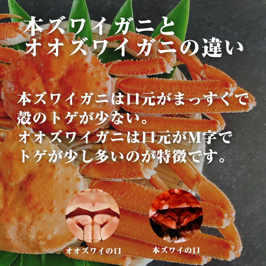 カネサン佐藤水産 オオズワイガニ 北海道産 ズワイガニ ボイル 姿 冷凍