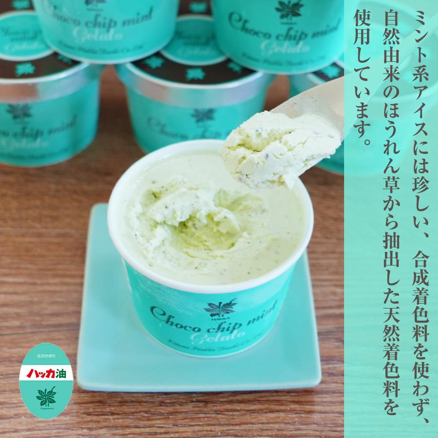 北見ハッカ通商 父の日 ギフト 北見ハッカ チョコミントアイス 6個