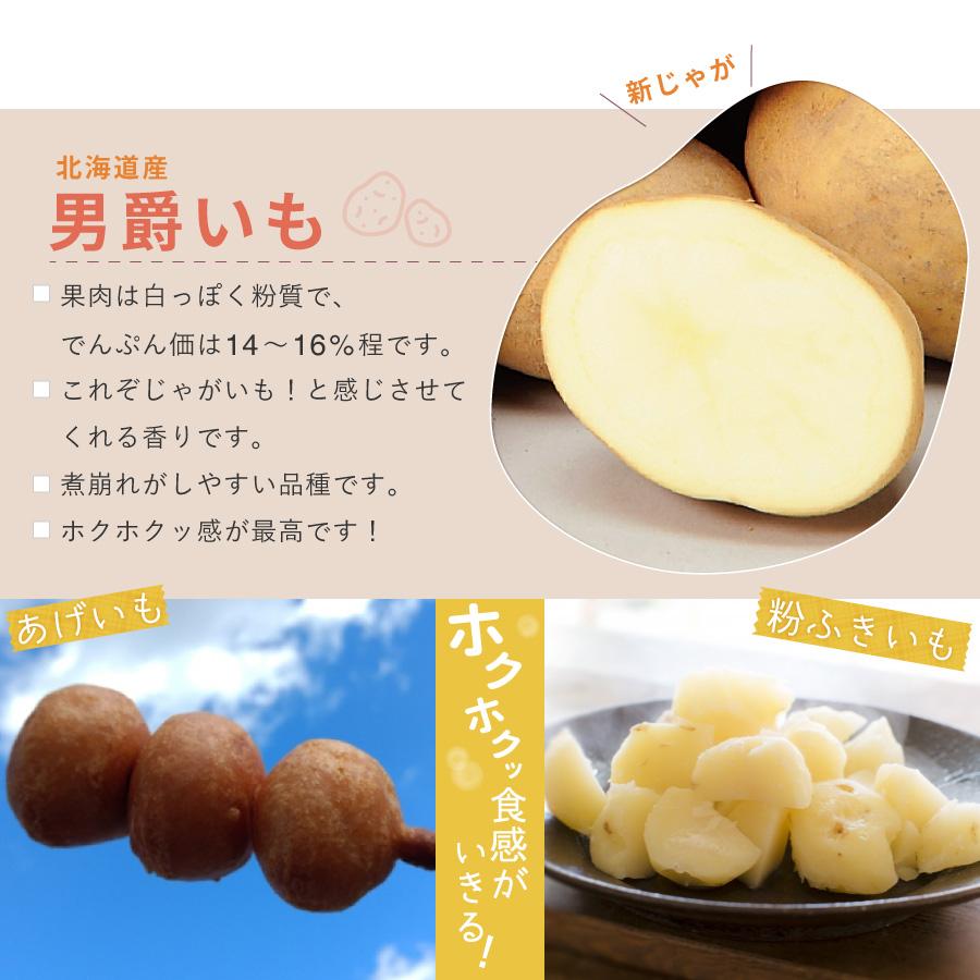 北海道 羊蹄産 男爵いも 10kg じゃがいも Lサイズ 新じゃがいも 新じゃ