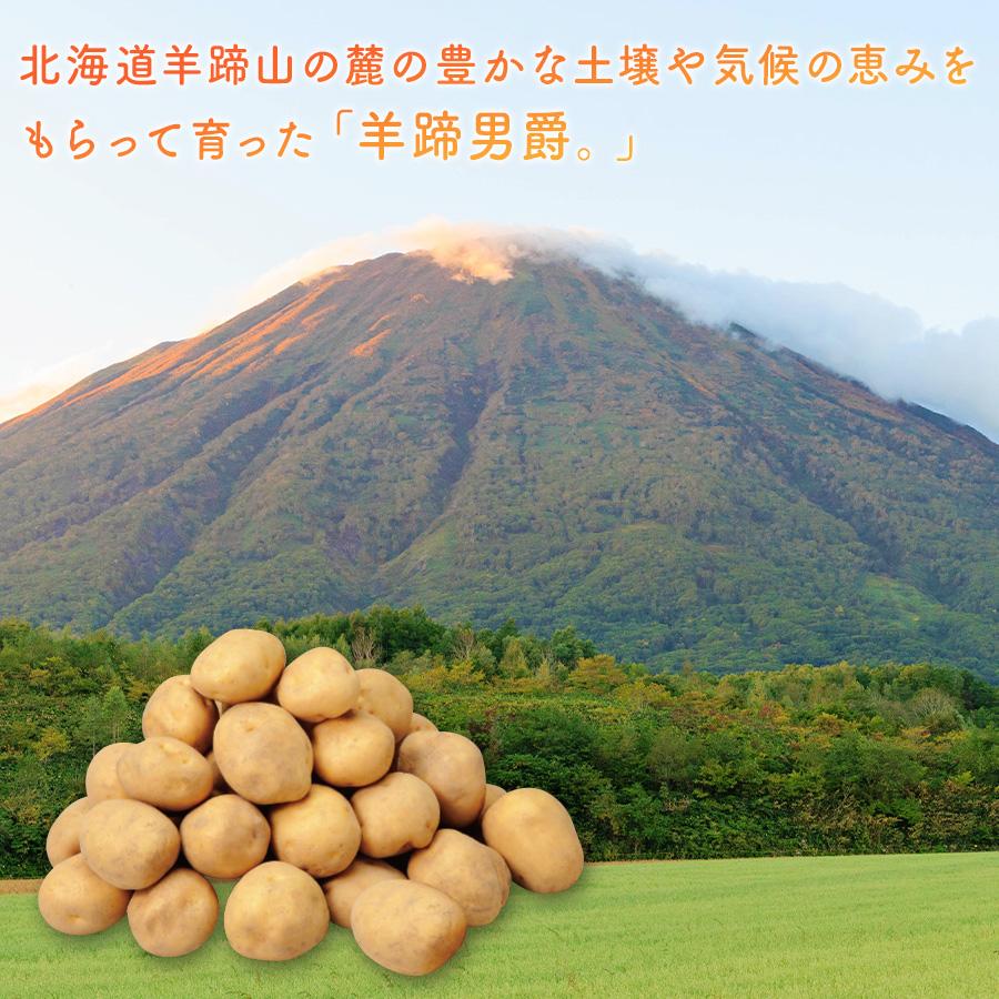 北海道 羊蹄産 男爵いも 10kg じゃがいも Lサイズ 新じゃがいも 新じゃ