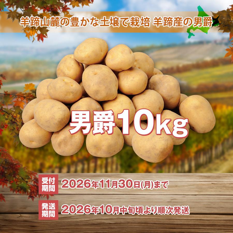 北海道 羊蹄産 きたあかり 10kg Lサイズ キタアカリ 新じゃがいも 北