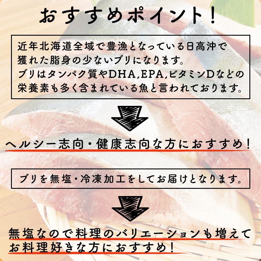 ぶり 切り身 ブリ 切り落とし 天然 鰤 訳あり 真空1パック 計1.0kg 切身 北海道 北海道産 無塩 訳アリ 冷凍 鮮魚 魚 国産 わけあり 海鮮｜irankarapte｜03