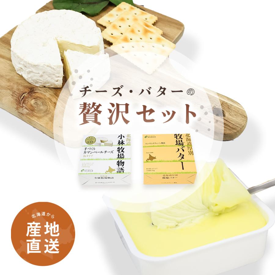 北海道 カマンベールチーズ バター ギフトセット 新札幌乳業｜irankarapte｜09