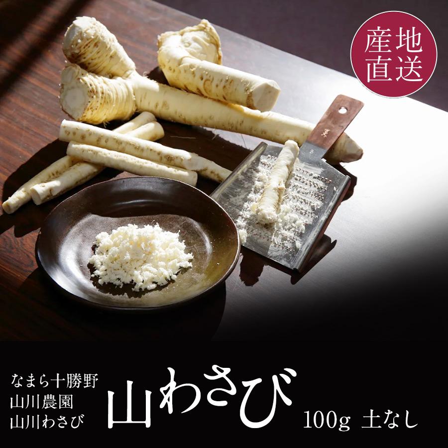山わさび (生) 北海道産 100g 西洋わさび ホースラディッシュ 極上の 