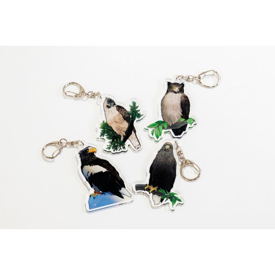 猛禽キーホルダー オオワシ オジロワシ クマタカ シマフクロウ 北海道