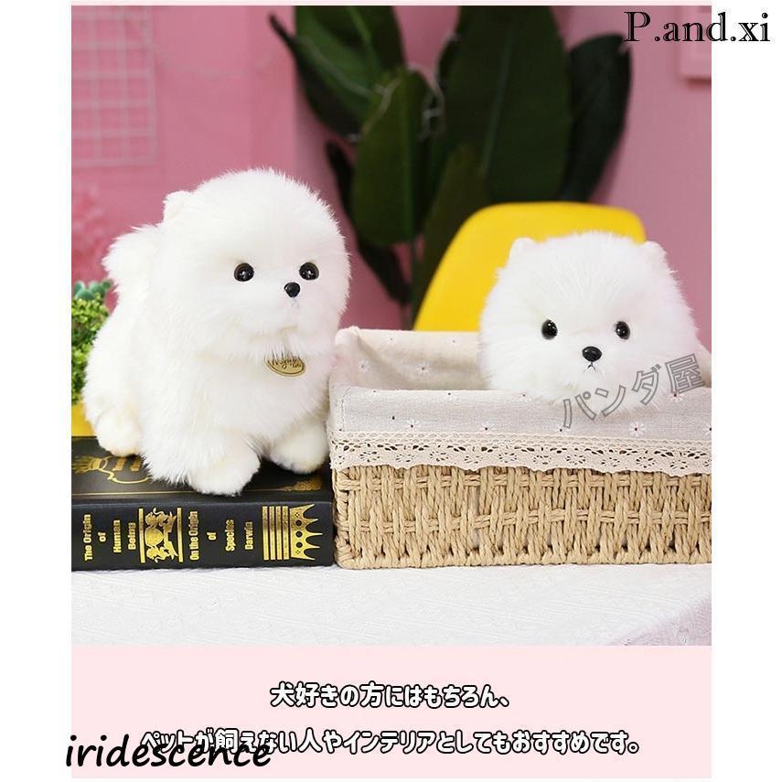 白い犬のぬいぐるみ リボン付き、マルチーズ、リアルサイズ 白い犬のぬいぐるみ リボン付き、マルチーズ、リアルサイズ