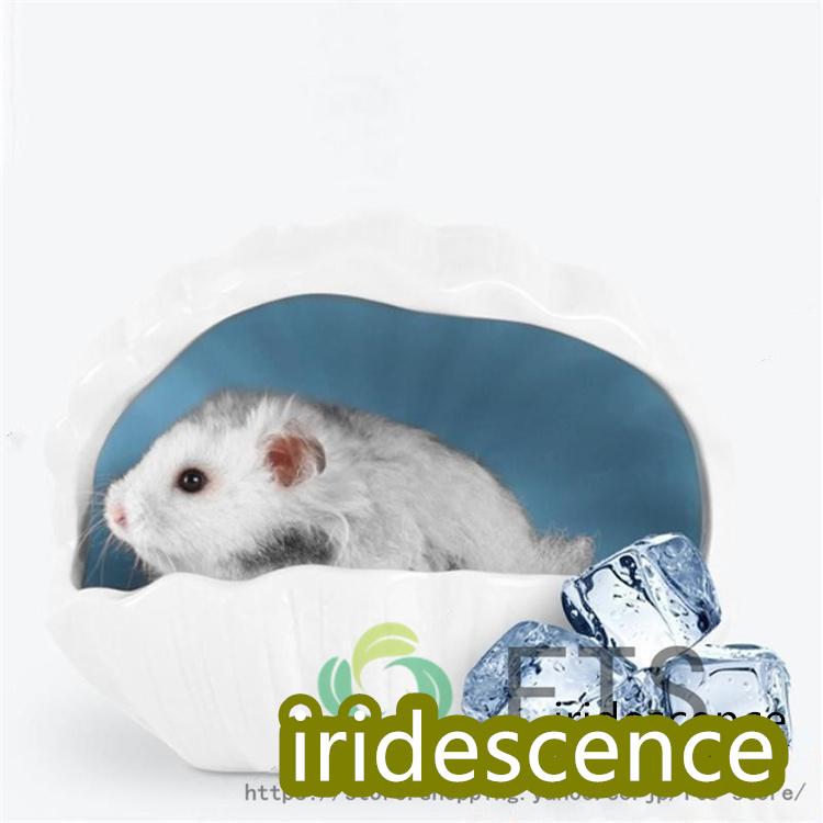 おうち 噛み耐え おへや ケージ内装 小屋 寝床 陶器 小動物