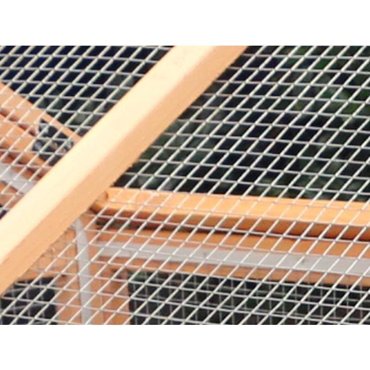 [即日発送] 透明なドア 別荘 大型インコ用　バード 鳥籠 飼育ケージ 小動物 ペット 松の木 鳥 鶏 鴨 うさぎ 室外 転倒防止 組立式 防腐材 【V1143406647】(40482円)