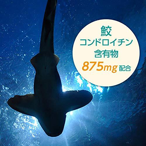 ファイン 鮫軟骨エキス粒 52日分(1日10粒/520粒入) コンドロイチン 含有|iriseshop|02