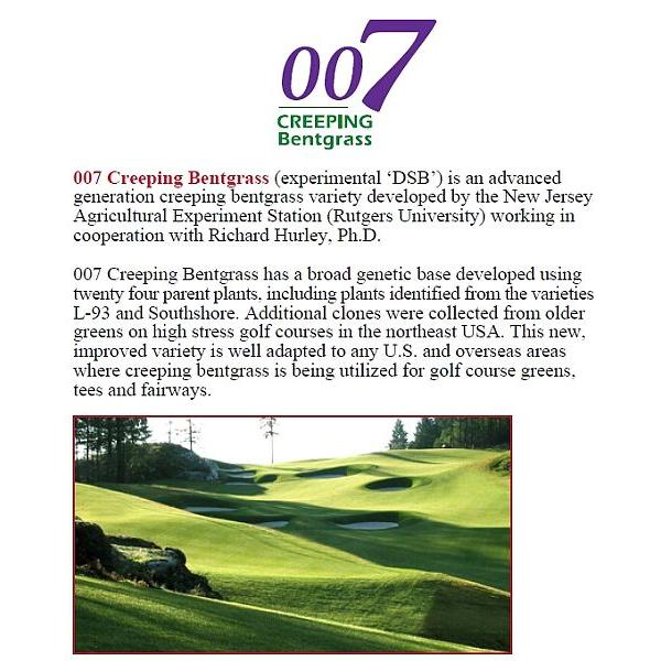 芝生の種・最高級ベントグラス 007 ダブルオーセブン 250g(芝) |  | 04