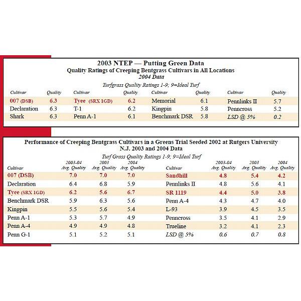 芝生の種・最高級ベントグラス 007 ダブルオーセブン 250g(芝) |  | 05